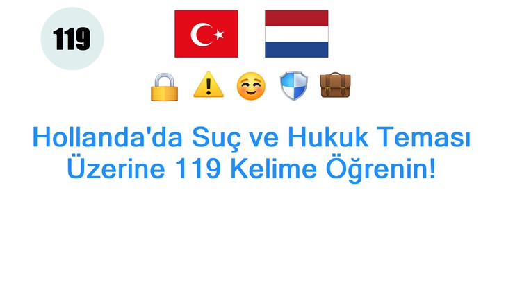 Hollandada Suç ve Hukuk Teması Üzerine 119 Kelime Öğrenin!